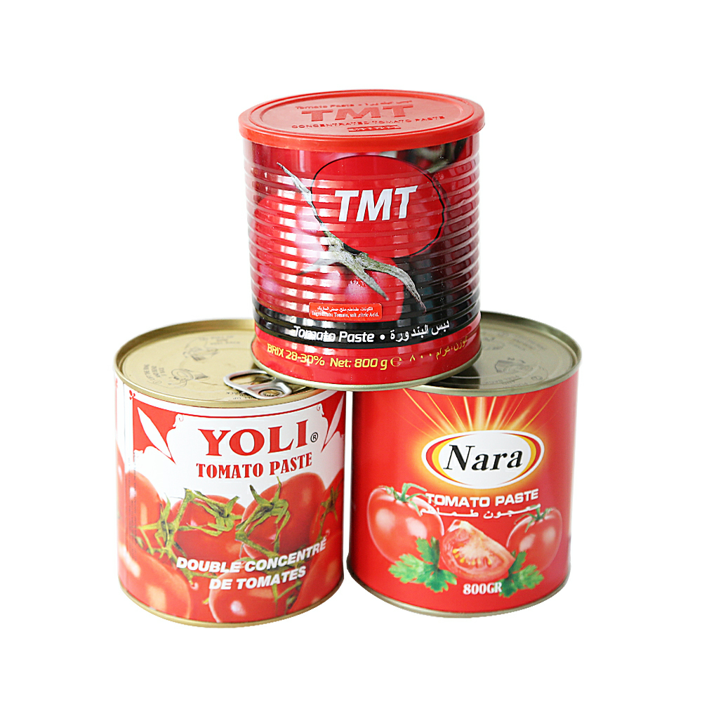 Factory Halal 800g/ 850g*12tins Tomato Paste Brix: 28-30% Canned Tomato Paste for Europe, 501